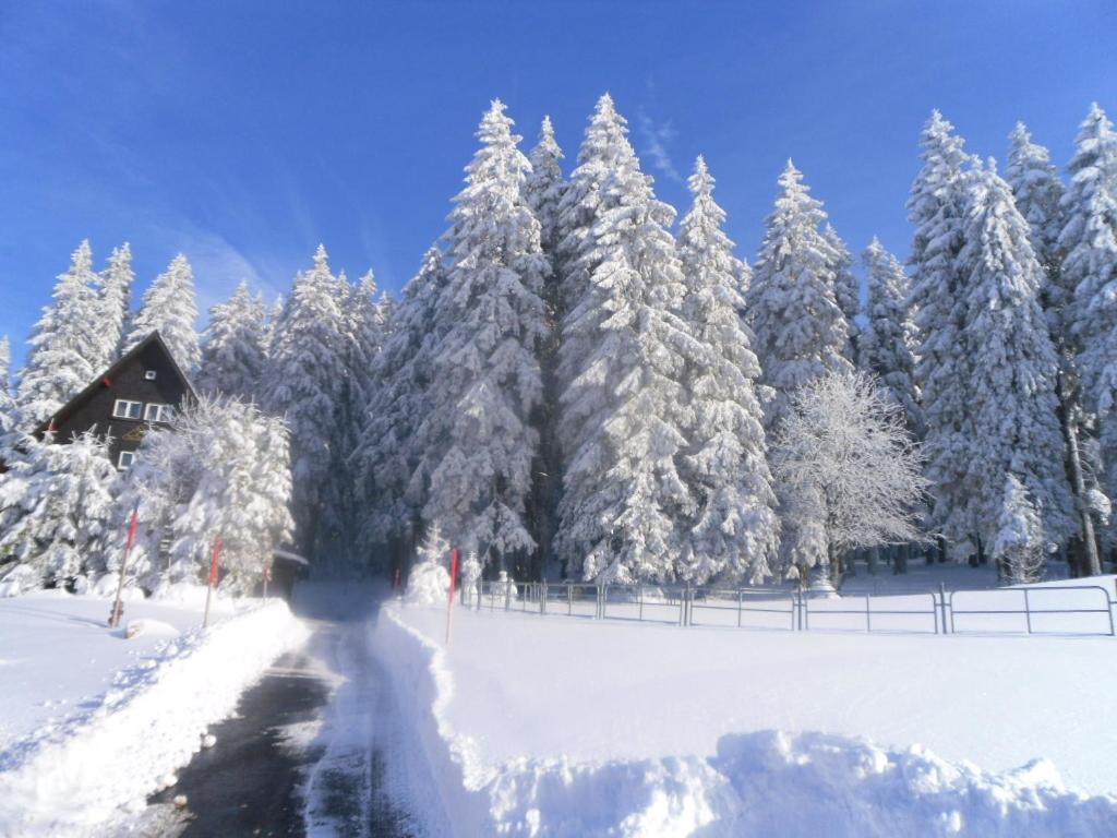 Landgasthaus Gemsennest Feldberg  Exterior foto